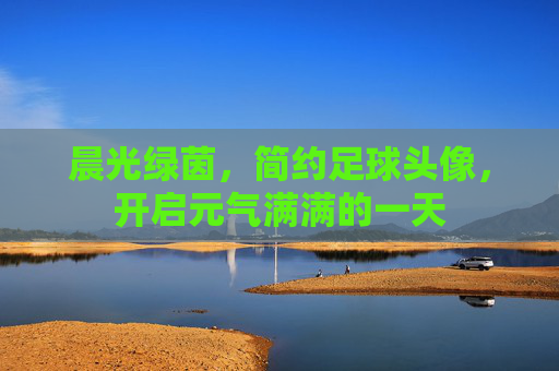 晨光绿茵,简约足球头像,开启元气满满的一天