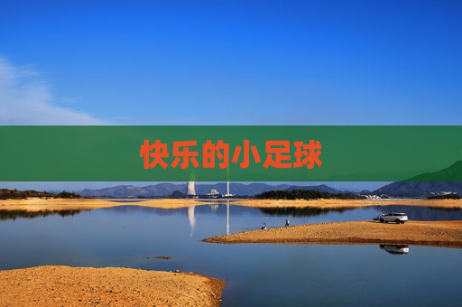 快乐的小足球