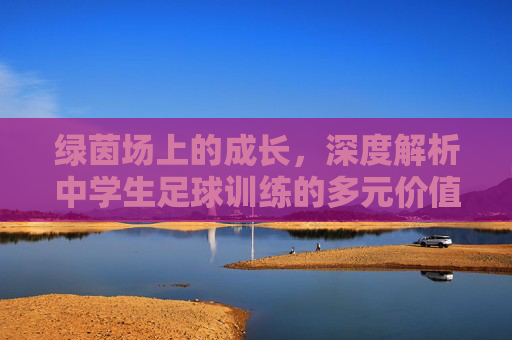 绿茵场上的成长,深度解析中学生足球训练的多元价值