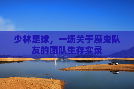 少林足球,一场关于魔鬼队友的团队生存实录