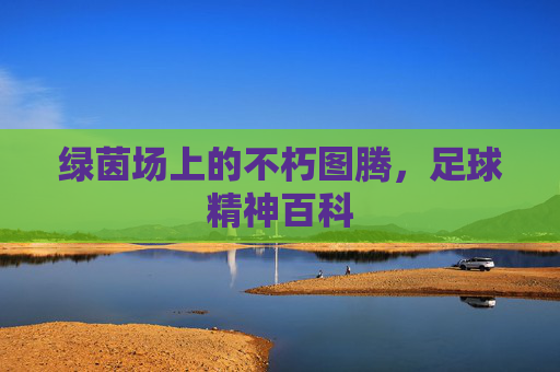 绿茵场上的不朽图腾,足球精神百科