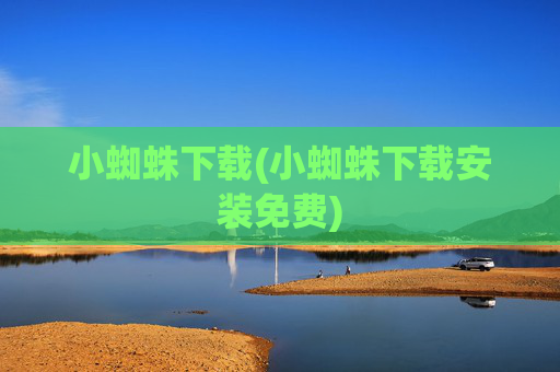 小蜘蛛下载(小蜘蛛下载安装免费)
