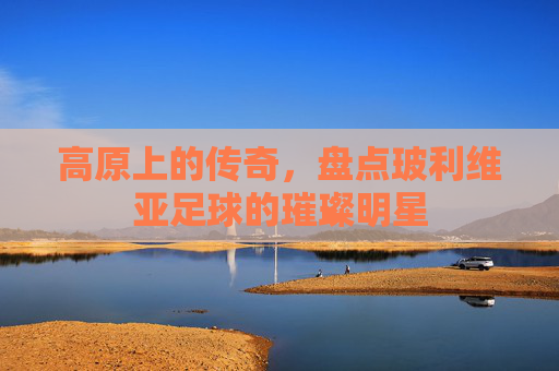 高原上的传奇,盘点玻利维亚足球的璀璨明星