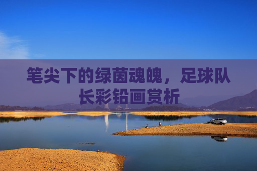 笔尖下的绿茵魂魄,足球队长彩铅画赏析