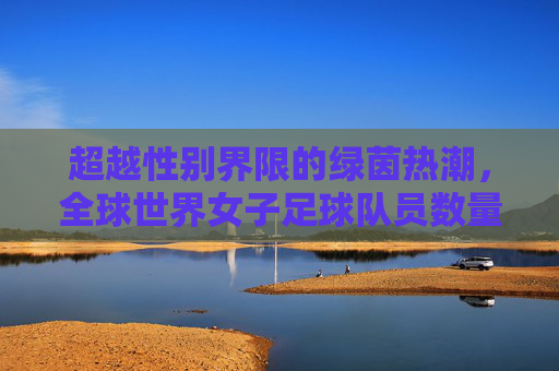 超越性别界限的绿茵热潮,全球世界女子足球队员数量深度解析
