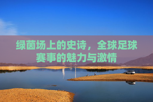 绿茵场上的史诗,全球足球赛事的魅力与激情