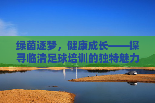 绿茵逐梦,健康成长——探寻临清足球培训的独特魅力
