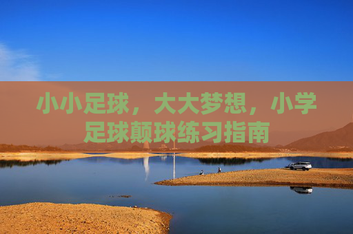 小小足球,大大梦想,小学足球颠球练习指南