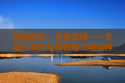 绿茵逐梦,青春激扬——全国大学生足球的魅力与精神