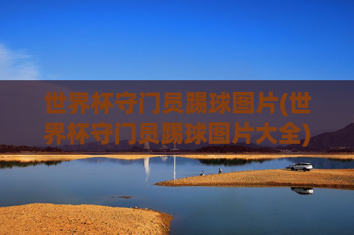 世界杯守门员踢球图片(世界杯守门员踢球图片大全)