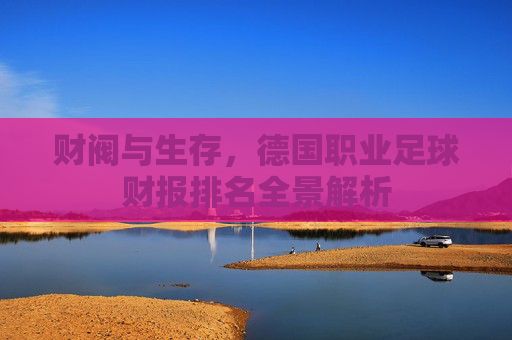 财阀与生存,德国职业足球财报排名全景解析