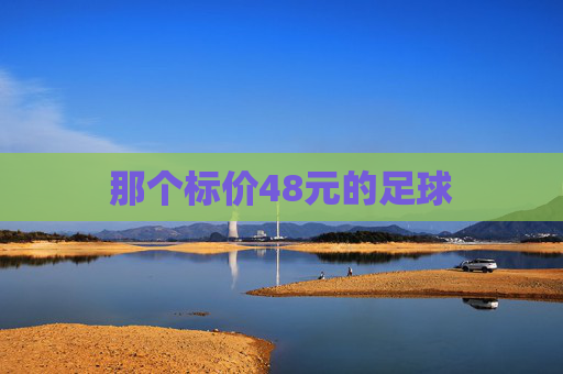 那个标价48元的足球