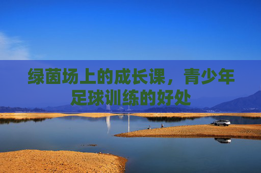 绿茵场上的成长课,青少年足球训练的好处