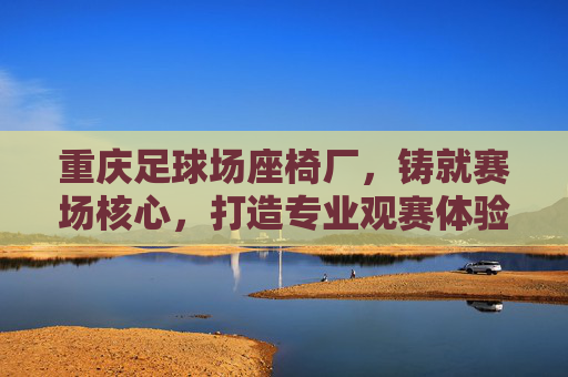 重庆足球场座椅厂,铸就赛场核心,打造专业观赛体验
