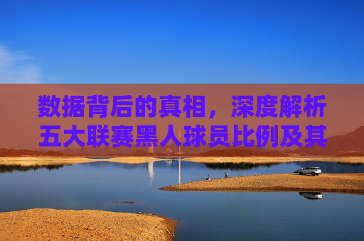 数据背后的真相,深度解析五大联赛黑人球员比例及其背后的历史与现状