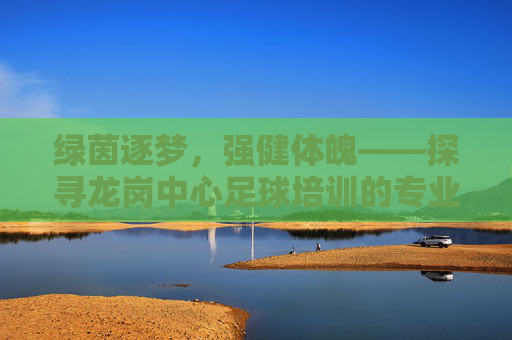 绿茵逐梦,强健体魄——探寻龙岗中心足球培训的专业与魅力