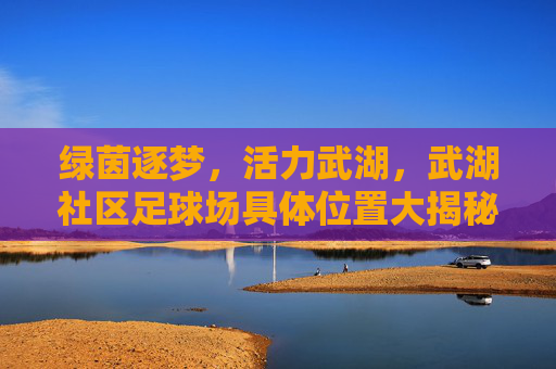 绿茵逐梦,活力武湖,武湖社区足球场具体位置大揭秘