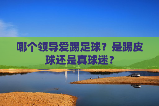 哪个领导爱踢足球?是踢皮球还是真球迷?