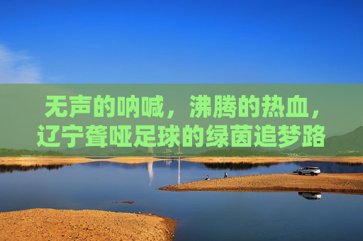 无声的呐喊,沸腾的热血,辽宁聋哑足球的绿茵追梦路