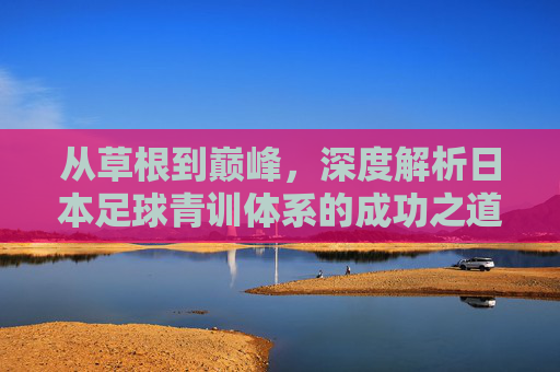 从草根到巅峰,深度解析日本足球青训体系的成功之道
