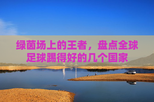 绿茵场上的王者,盘点全球足球踢得好的几个国家