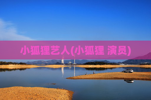 小狐狸艺人(小狐狸 演员)