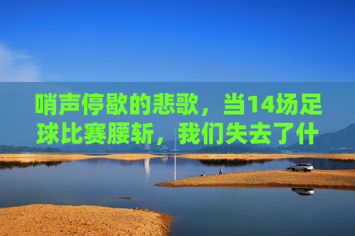 哨声停歇的悲歌,当14场足球比赛腰斩,我们失去了什么?