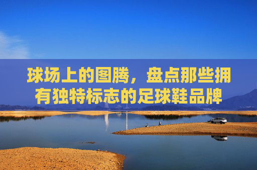 球场上的图腾，盘点那些拥有独特标志的足球鞋品牌