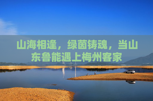 山海相逢，绿茵铸魂，当山东鲁能遇上梅州客家