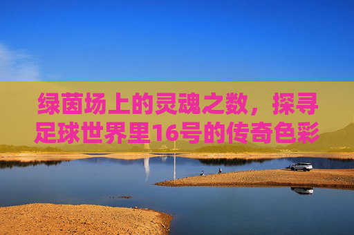 绿茵场上的灵魂之数,探寻足球世界里16号的传奇色彩