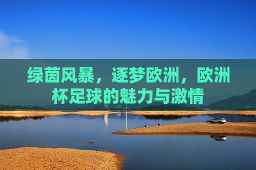 绿茵风暴,逐梦欧洲,欧洲杯足球的魅力与激情