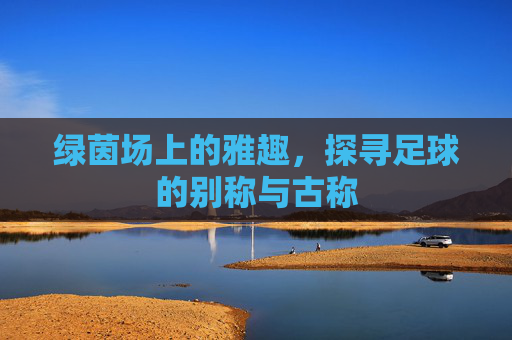 绿茵场上的雅趣，探寻足球的别称与古称