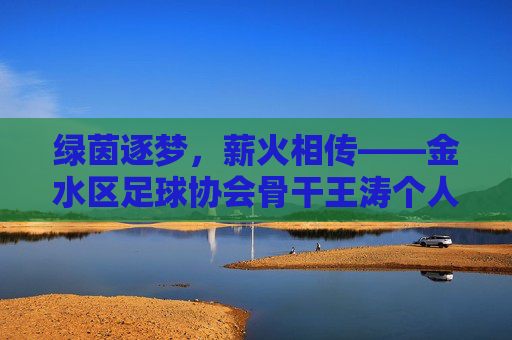 绿茵逐梦,薪火相传——金水区足球协会骨干王涛个人简历