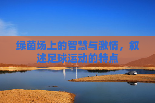 绿茵场上的智慧与激情,叙述足球运动的特点