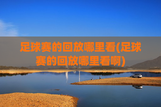 足球赛的回放哪里看(足球赛的回放哪里看啊)