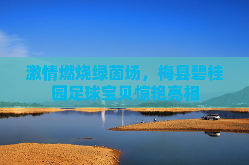 激情燃烧绿茵场,梅县碧桂园足球宝贝惊艳亮相