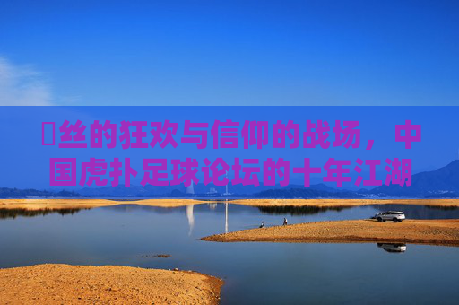 屌丝的狂欢与信仰的战场,中国虎扑足球论坛的十年江湖