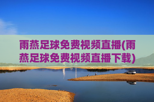 雨燕足球免费视频直播(雨燕足球免费视频直播下载)
