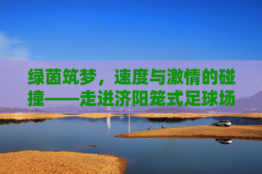 绿茵筑梦,速度与激情的碰撞——走进济阳笼式足球场