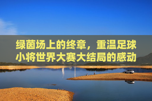 绿茵场上的终章,重温足球小将世界大赛大结局的感动与传承
