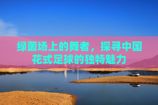 绿茵场上的舞者,探寻中国花式足球的独特魅力