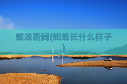 蜘蛛新闻(蜘蛛长什么样子)