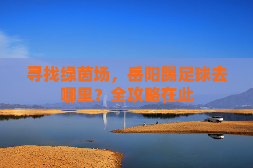 寻找绿茵场，岳阳踢足球去哪里？全攻略在此