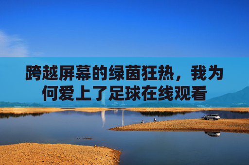 跨越屏幕的绿茵狂热,我为何爱上了足球在线观看