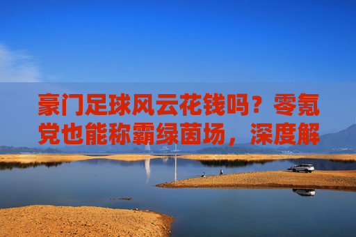 豪门足球风云花钱吗?零氪党也能称霸绿茵场,深度解析游戏付费机制
