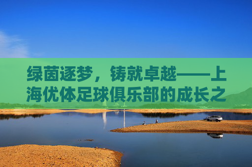 绿茵逐梦,铸就卓越——上海优体足球俱乐部的成长之路