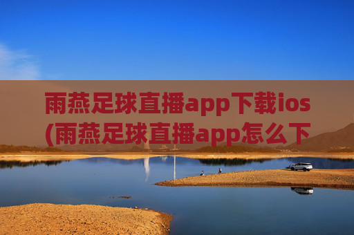 雨燕足球直播app下载ios(雨燕足球直播app怎么下载)