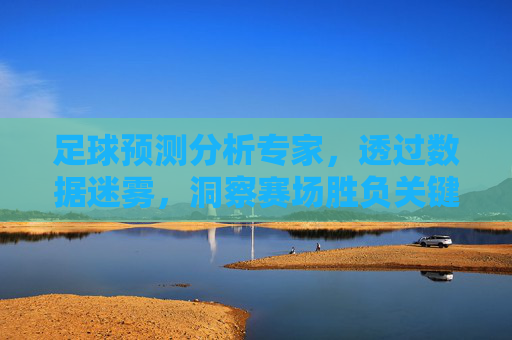 足球预测分析专家,透过数据迷雾,洞察赛场胜负关键