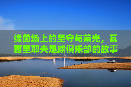 绿茵场上的坚守与荣光,瓦西里耶夫足球俱乐部的故事