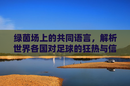 绿茵场上的共同语言,解析世界各国对足球的狂热与信仰
